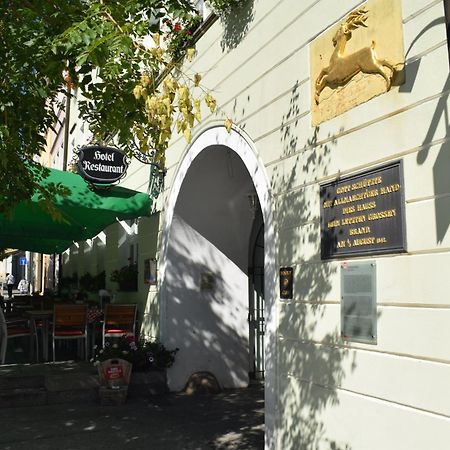 Akzent Hotel Goldner Hirsch Kamenz Extérieur photo